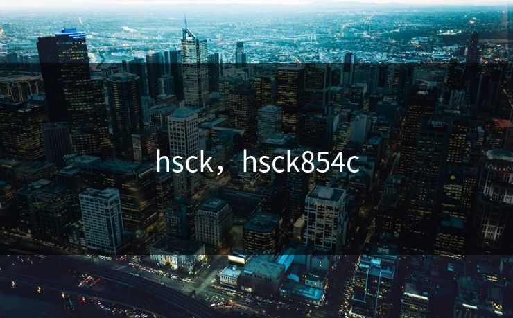 hsck，hsck854c