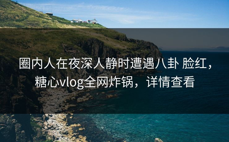圈内人在夜深人静时遭遇八卦 脸红，糖心vlog全网炸锅，详情查看