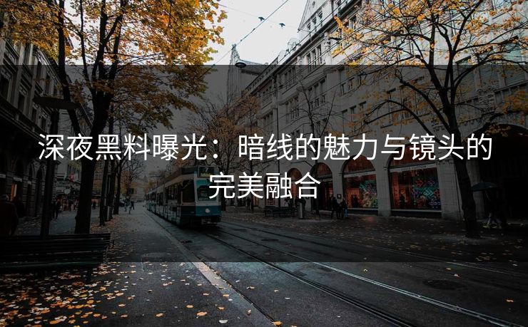 深夜黑料曝光：暗线的魅力与镜头的完美融合